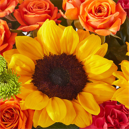 Sun-drenched Blooms Box Bouquet –  Bittys Garden, Canon City CO