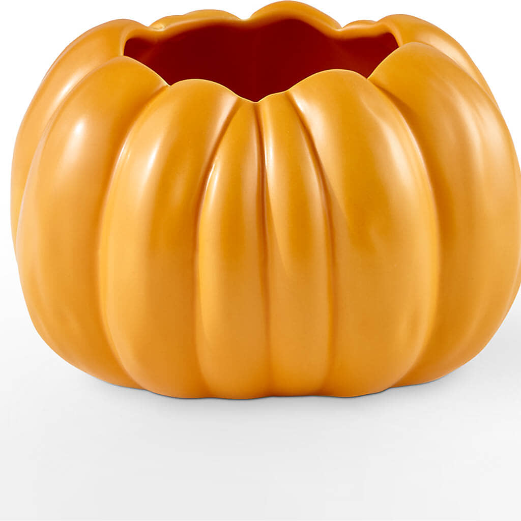 Pick of the Patch Pumpkin Bouquet –  Bittys Garden, Canon City CO