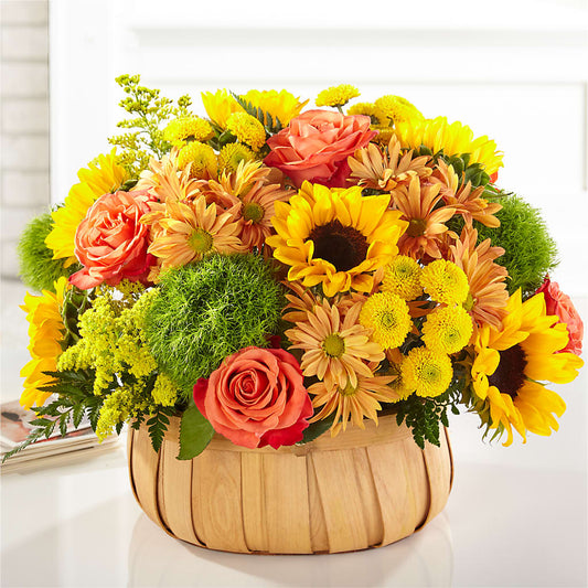 Harvest Sunflower Basket –  Bittys Garden, Canon City CO
