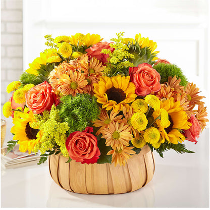 Harvest Sunflower Basket –  Bittys Garden, Canon City CO
