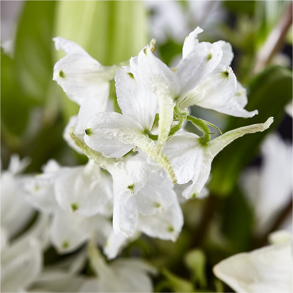 Classic Ivory – A Florist Original –  Bittys Garden, Canon City CO