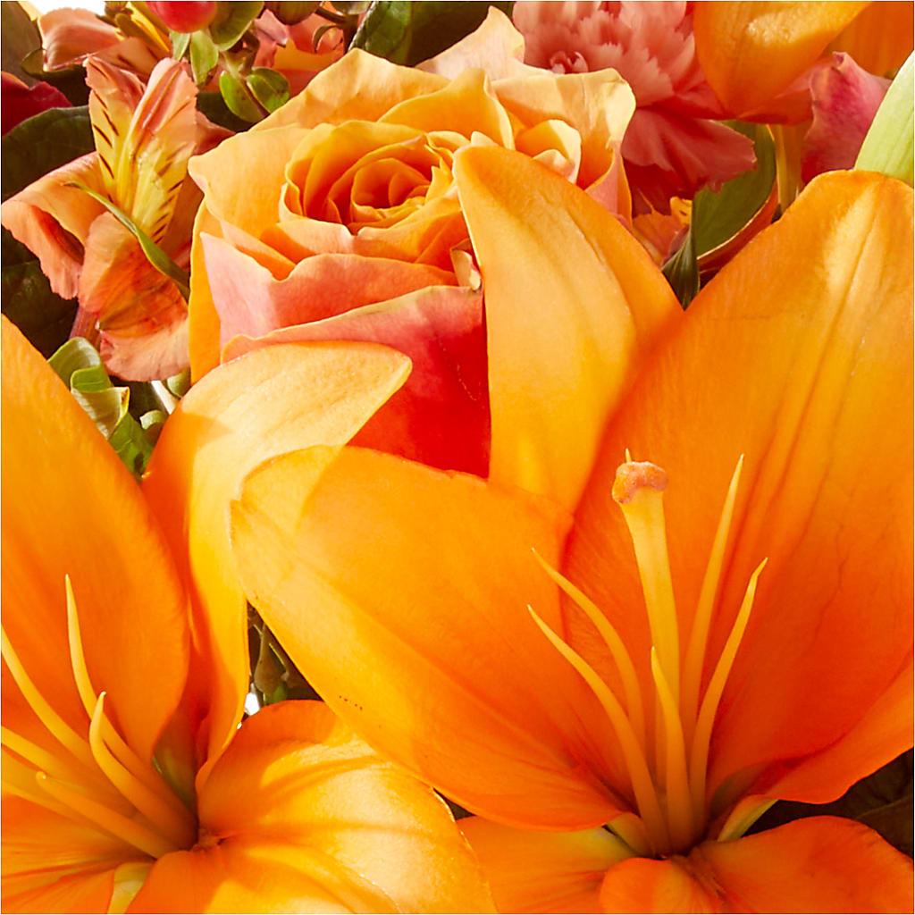 Afternoon Light Bouquet –  Bittys Garden, Canon City CO