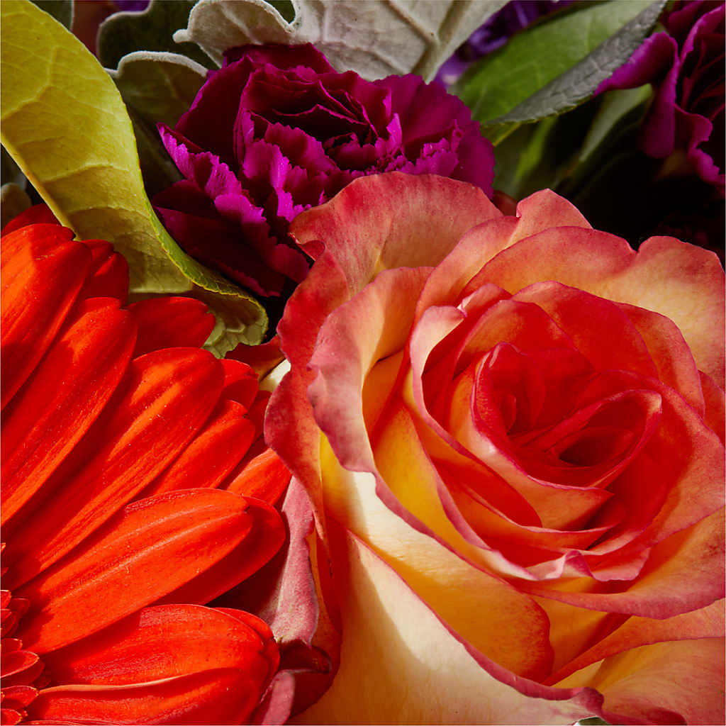 Sangria Bouquet –  Bittys Garden, Canon City CO
