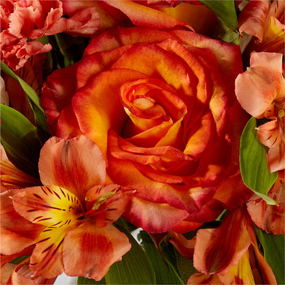Apricot Glow Bouquet –  Bittys Garden, Canon City CO