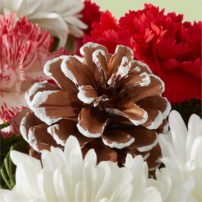 Candy Cane Lane Bouquet –  Bittys Garden, Canon City CO