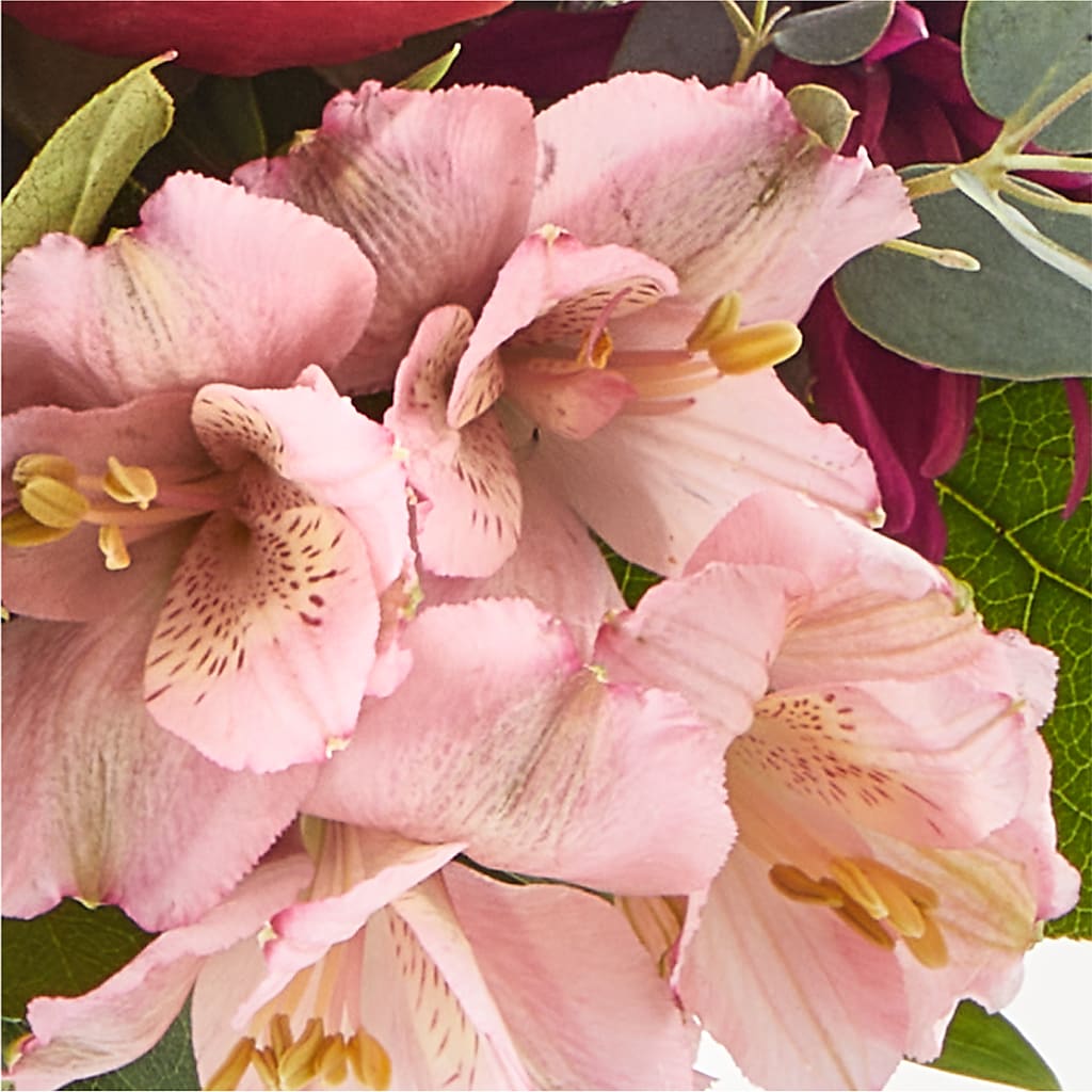 Berry Cobbler Bouquet –  Bittys Garden, Canon City CO