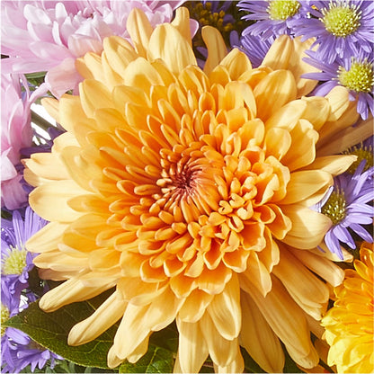 Countryside Bouquet –  Bittys Garden, Canon City CO