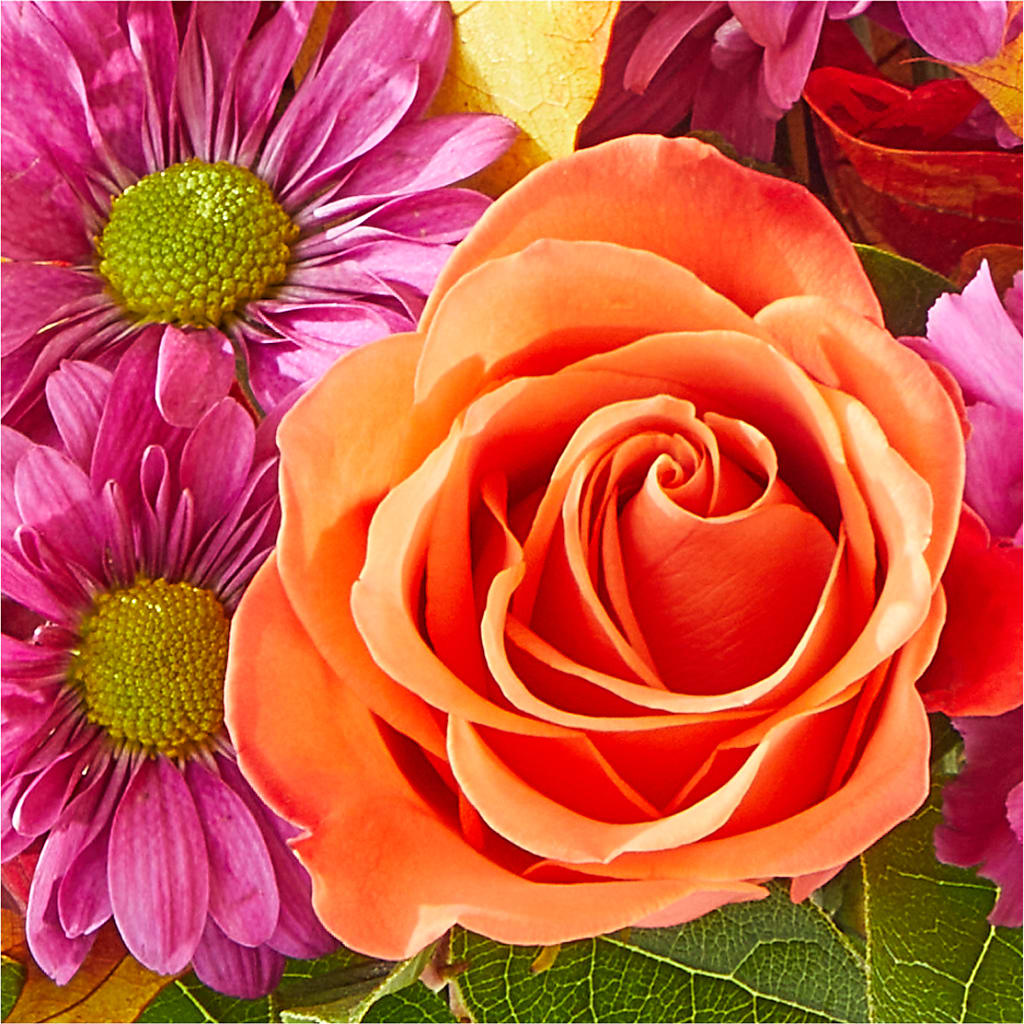 Mum's the Word Bouquet –  Bittys Garden, Canon City CO