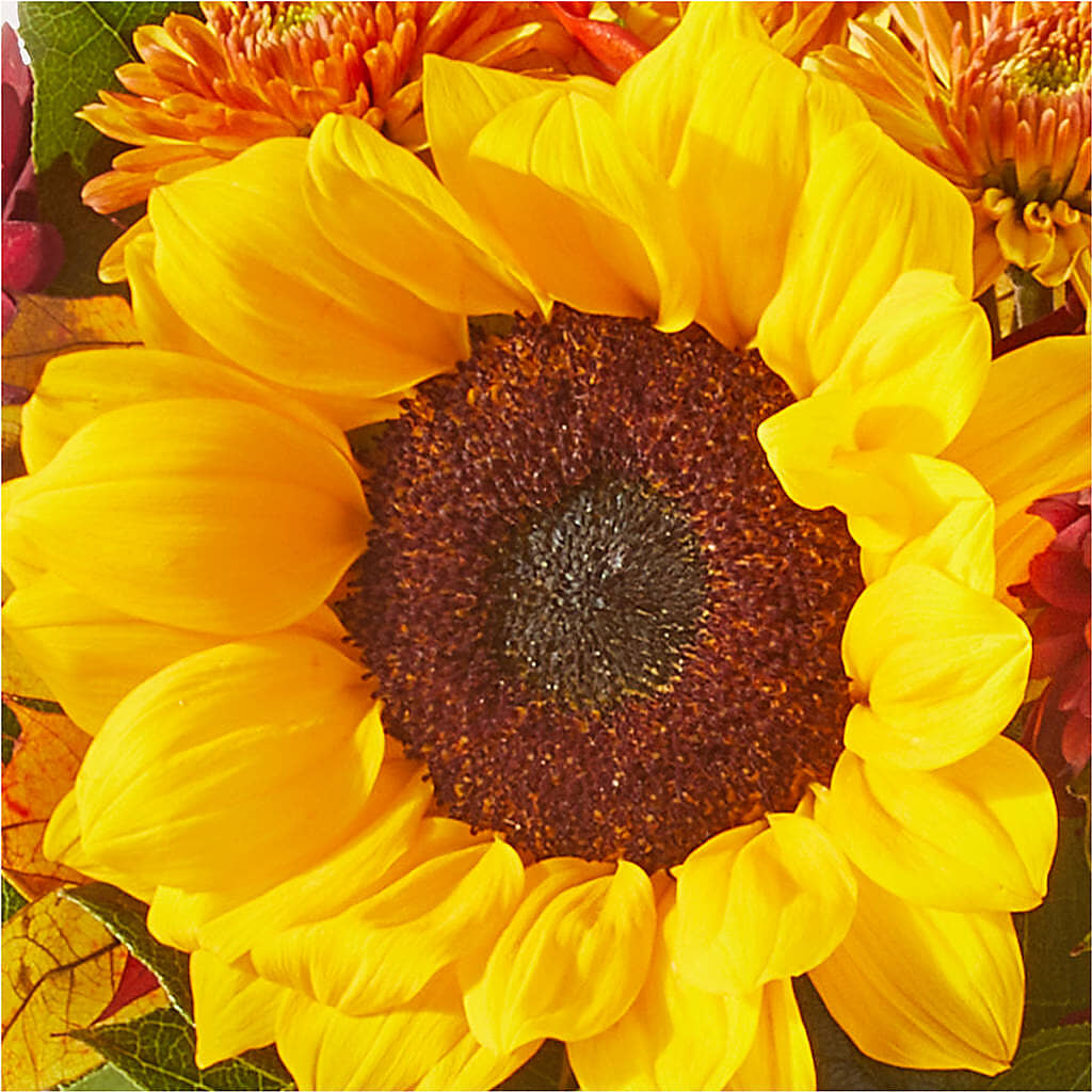 Sunny Side Bouquet –  Bittys Garden, Canon City CO