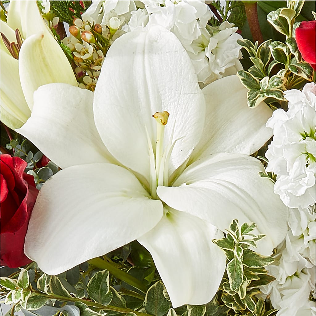 Twinkle Lights Bouquet –  Bittys Garden, Canon City CO