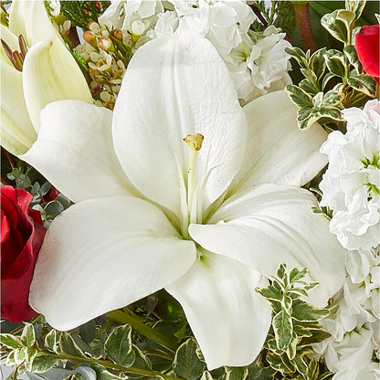 Twinkle Lights Bouquet –  Bittys Garden, Canon City CO