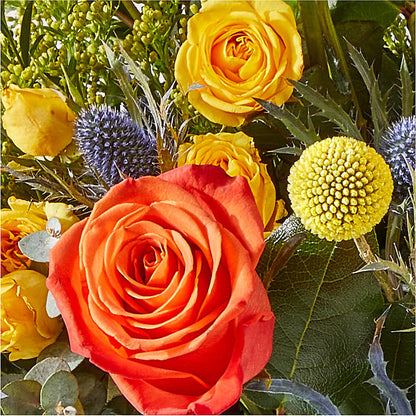 Disco Bouquet –  Bittys Garden, Canon City CO