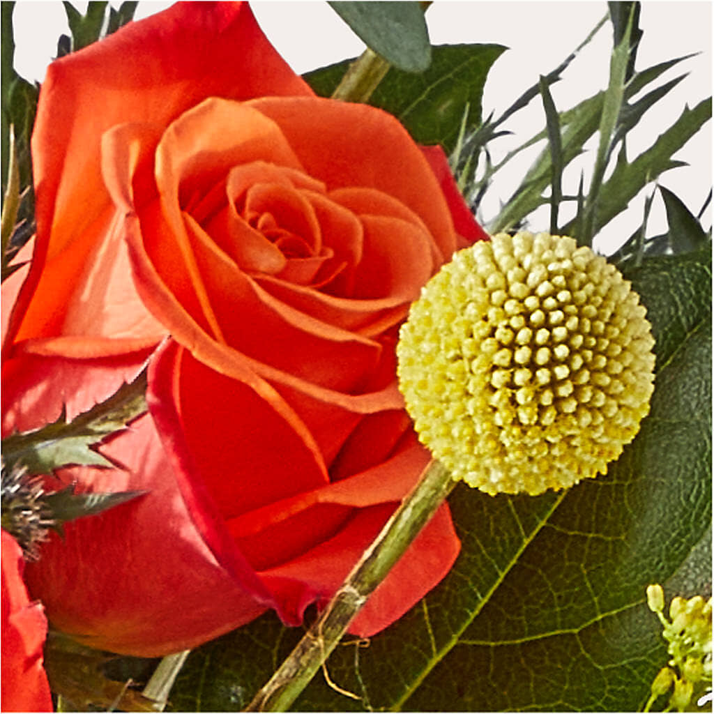Disco Bouquet –  Bittys Garden, Canon City CO