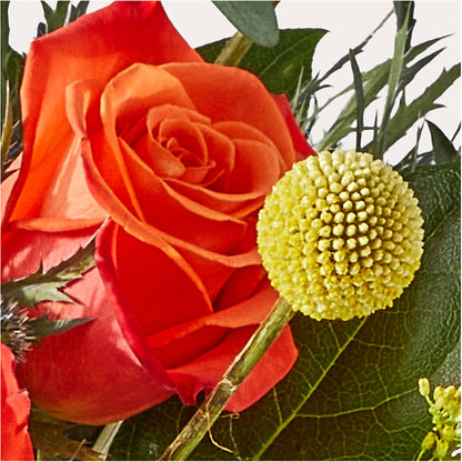 Disco Bouquet –  Bittys Garden, Canon City CO