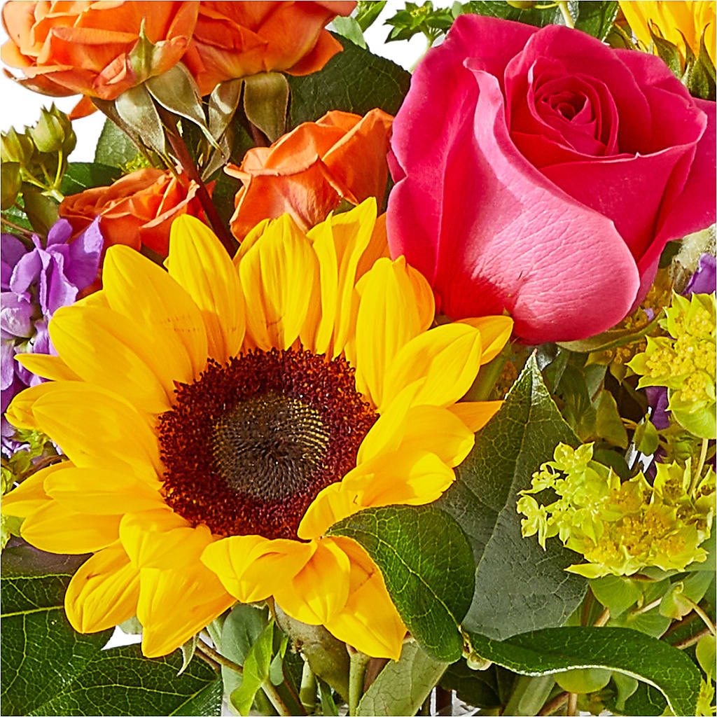 Vibrant Greetings Bouquet –  Bittys Garden, Canon City CO