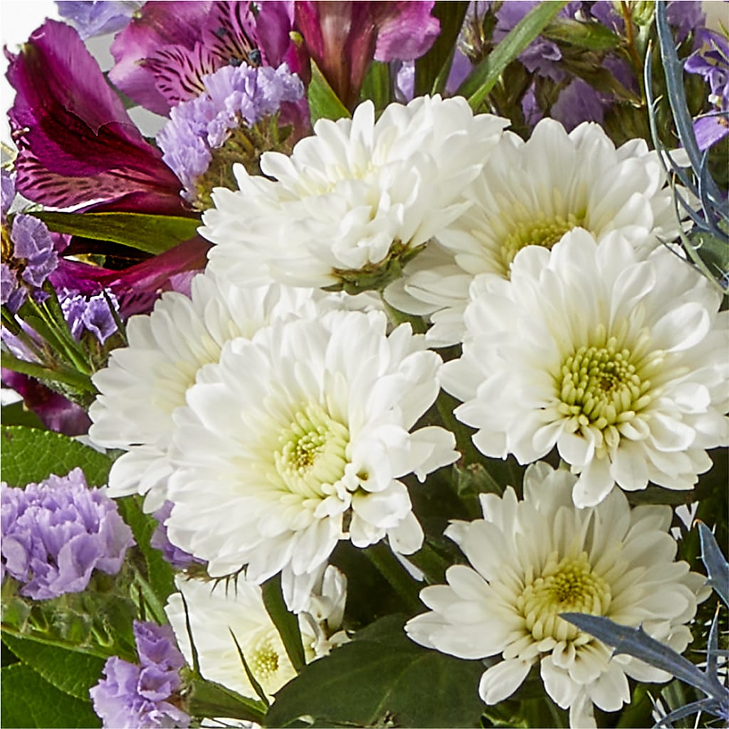 Shooting Star Bouquet –  Bittys Garden, Canon City CO