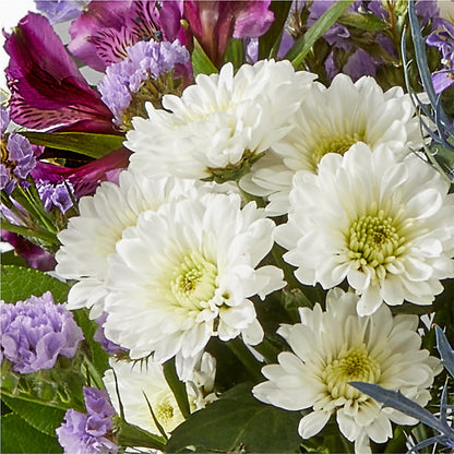 Shooting Star Bouquet –  Bittys Garden, Canon City CO