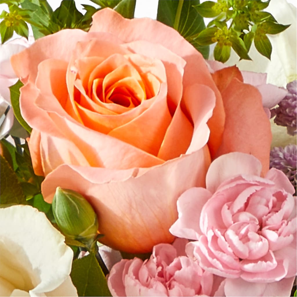 French Market Bouquet –  Bittys Garden, Canon City CO