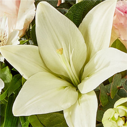 Ballet Slippers Bouquet –  Bittys Garden, Canon City CO