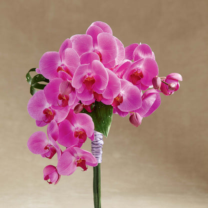 Glorious Bouquet –  Bittys Garden, Canon City CO