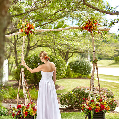Arbor of Love Archway –  Bittys Garden, Canon City CO