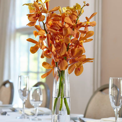 Orange Mokara Bud Vase –  Bittys Garden, Canon City CO