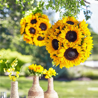 Sublime Garden Hanging Arrangement –  Bittys Garden, Canon City CO