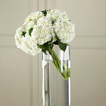 White Hydrangea Hand-Tied Bouquet –  Bittys Garden, Canon City CO