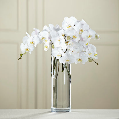 White Phalaenopsis Bouquet –  Bittys Garden, Canon City CO