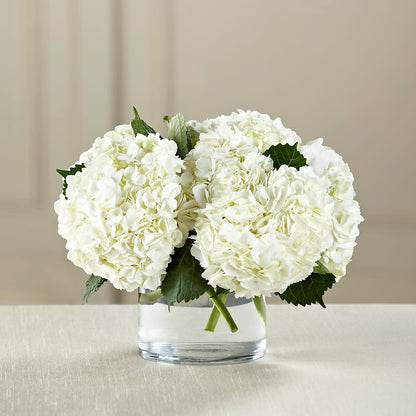 White Hydrangea Bouquet –  Bittys Garden, Canon City CO