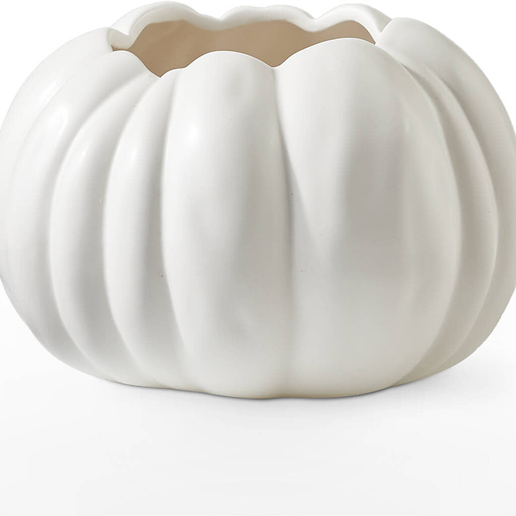 Autumn Air Pumpkin Bouquet –  Bittys Garden, Canon City CO